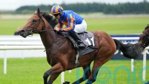 The Lion In Winter unlikely to run again this season