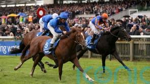 Shadow Of Light storms home to shade tight Dewhurst tussle