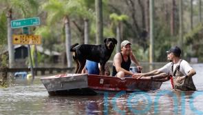 At least 10 dead as Hurricane Milton clean up begins for Sunshine State