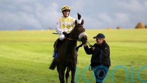Alphonse Le Grande Cesarewitch joy may turn to tears
