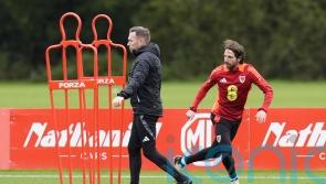 Craig Bellamy says ‘romantic’ Montenegro return for Joe Allen would be a gamble