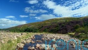 Government urged to set out rules for protecting 30% of land for nature