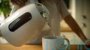 What’s lurking in your kettle if you don’t wash it?