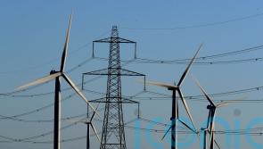 UK must build power infrastructure including pylons ‘at speed’, expert warns