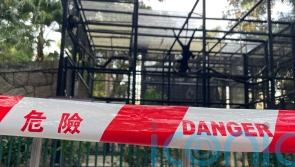 Hong Kong zoo probes deaths of nine monkeys in two days