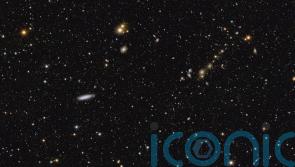 Euclid telescope reveals first ‘stunning’ piece of its map of the universe