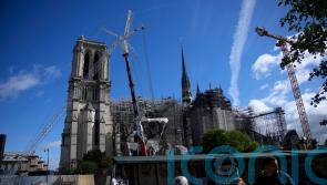 &pound;42m plan to give Notre Dame area green facelift as part of Paris-wide eco plan
