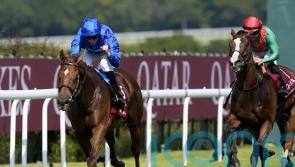 Ascot ground boosting confidence in Facteur Cheval