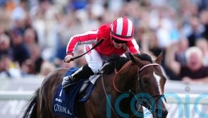 Bradsell to sign off after Breeders’ Cup bid