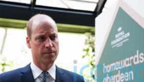William tells how he sees his royal role as trying to influence and help people