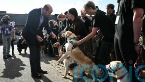 William surprised by cheeky Labrador during college visit