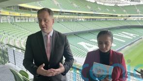 Greyhound racing is not a sport, says junior minister for sport