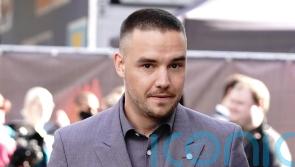 ‘Kind, funny and brave soul’: Liam Payne’s family pay tribute after his death