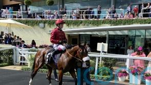 Century seeking to break New ground for Balding