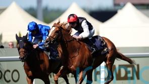Kyprios and Trawlerman set for Long Distance Cup decider