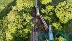 Train kills two wild elephants in Sri Lanka as fuel tankers derail