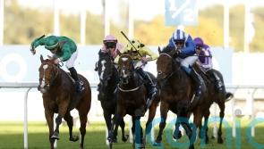 Graffard proud but rueful as Calandagan is pipped to Champion Stakes post