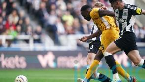 Fabian Hurzeler backs match-winner Danny Welbeck to play into his 40s