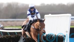 Givemefive ‘in good nick’ for upcoming Cheltenham target