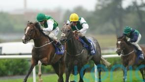 Williams has high hopes for Aqwaam next year