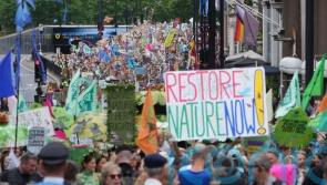 Countries gather for UN biodiversity summit to negotiate halting nature crisis