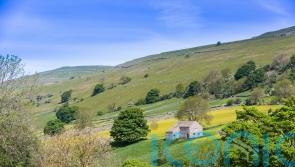 Cutting nature-friendly farming budget would be act of self harm, say Tory MPs
