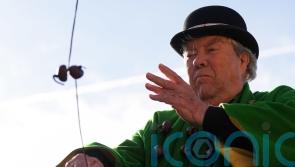 Men’s conker champion at centre of steel chestnut probe ‘won title fairly’