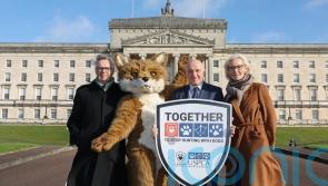 Bid to ban hunting in Northern Ireland relaunched
