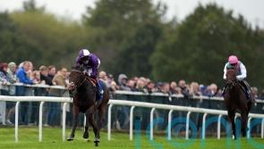 Tuscan Hills too good for Silver Tankard rivals