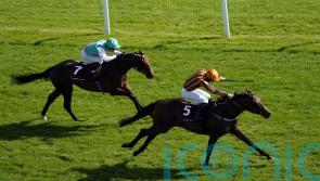 Teal encouraged by Dancing Gemini’s Ascot effort