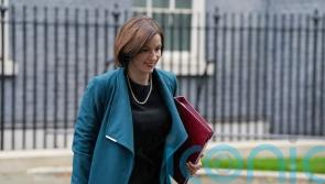 Planned free schools in doubt as Government launches review