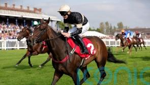 Prolific Alfa Kellenic embarks on deserved winter break