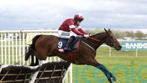 Brighterdaysahead to take hurdles route this term