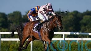 Jessica Harrington hoping it will be Hotazhell at Doncaster