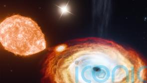 First black hole triple system ‘challenges understanding of how they form’