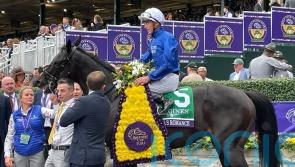 ‘He’s a big player’ – Appleby looking forward to Rebel’s Romance