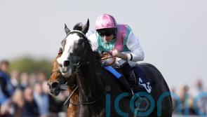 Derby prospect Nightwalker moving yards with Stoute retirement