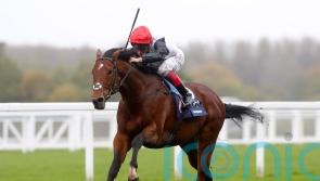 Regally-bred newcomers put Friday focus on Doncaster