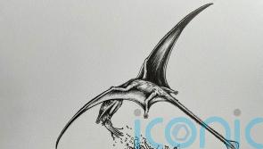 Prehistoric flying reptiles lived on diet of squid and fish, scientists reveal