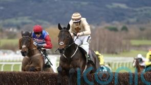 Broadway Boy primed for Cheltenham opening act