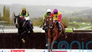 Crowmell straight back on the right Path again at Cheltenham