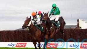 Calico collects valuable Cheltenham prize for Skelton