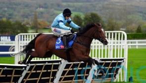 Valgrand floors Gale Mahler to take Grade Two honours at Cheltenham
