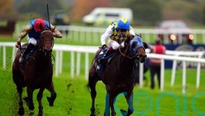 La Bellota digs deep for Prospect prize