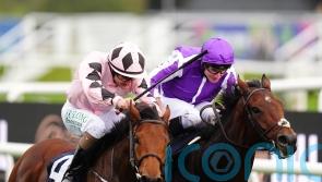 Hotzahell prevails in Futurity Trophy duel