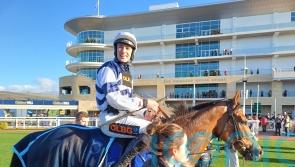 Derham savours Cheltenham success with Givemefive