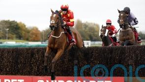 ‘Magic’ – McCain delight as Minella Drama bags deserved big-race prize