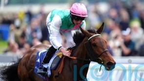 Arc victor Bluestocking retired to stud