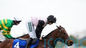 Heart Wood sparks birthday double for De Bromhead