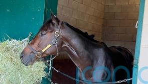 Pletcher backing Fierceness to topple Troy in Classic clash